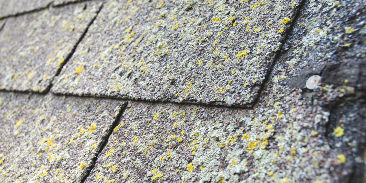 Is it Necessary to Clean Your Roof?