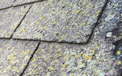 Is it Necessary to Clean Your Roof?