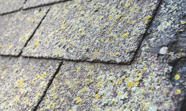 Is it Necessary to Clean Your Roof?