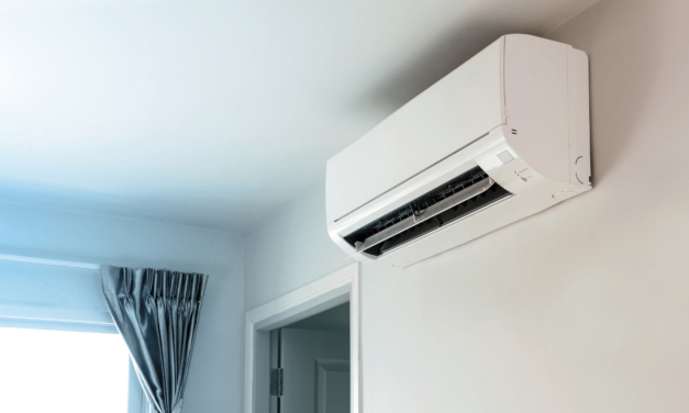 Are Ductless Mini-Splits Environmentally Friendly?