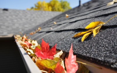 3 Maintenance Tips for Your Roof This Fall