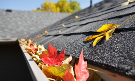 3 Maintenance Tips for Your Roof This Fall