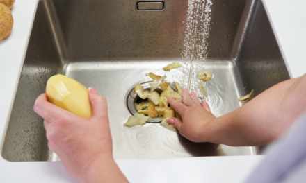 Tips and Tricks When Dealing with Your Garbage Disposal