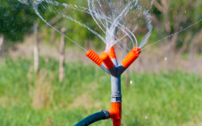 Spring Plumbing Tips