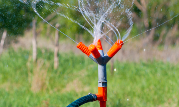 Spring Plumbing Tips