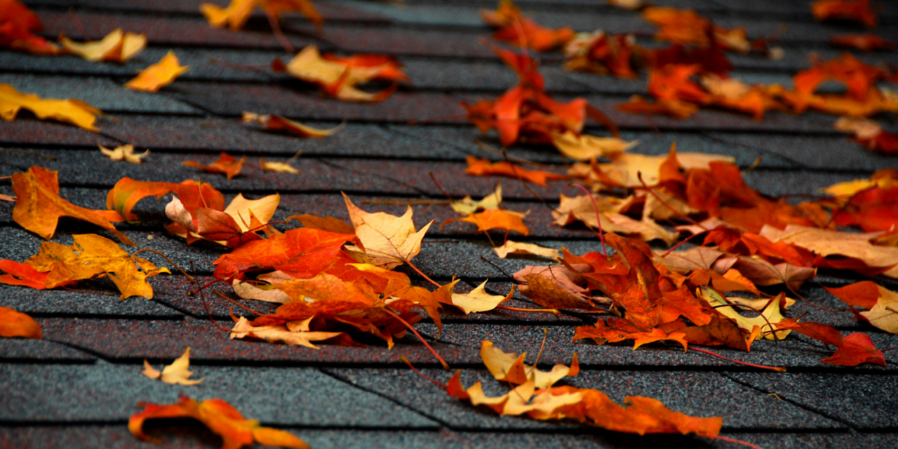 Fall: The Perfect Time to Replace Your Vinyl Siding