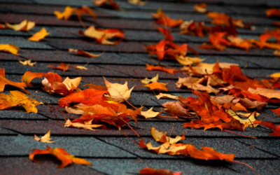 Fall: The Perfect Time to Replace Your Vinyl Siding