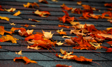Fall: The Perfect Time to Replace Your Vinyl Siding