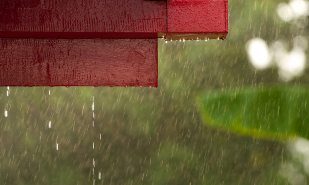 New England Rain & Your Roof