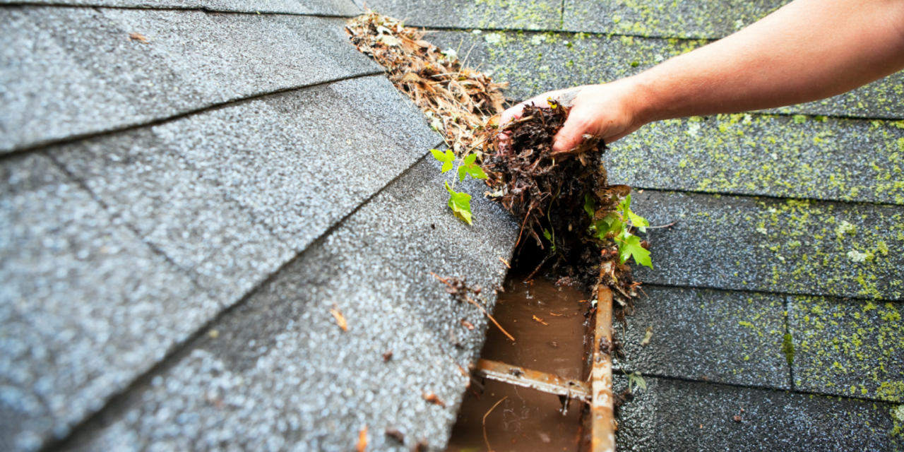 Spring Cleaning Checklist For Your Roof!
