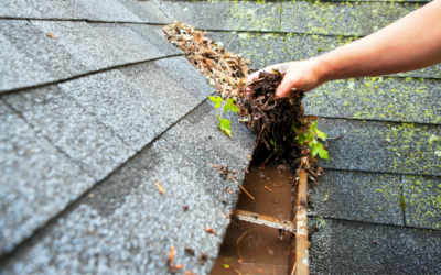 Spring Cleaning Checklist For Your Roof!