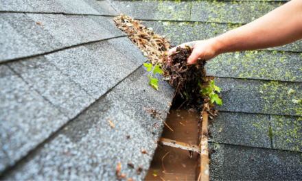 Spring Cleaning Checklist For Your Roof!